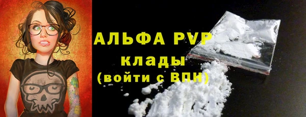 бошки Осинники