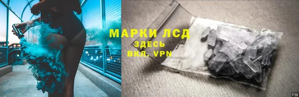ПСИЛОЦИБИНОВЫЕ ГРИБЫ Осташков