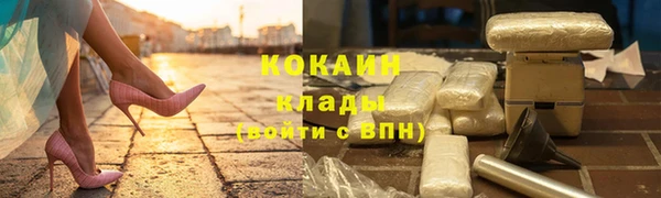 бошки Осинники