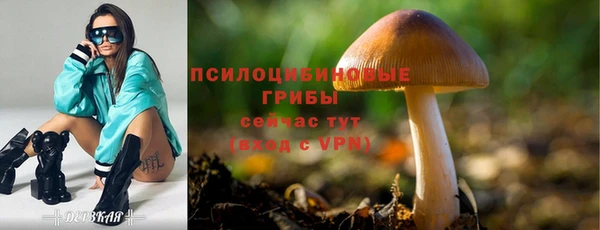mdma Нязепетровск