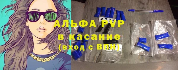 индика Дмитров
