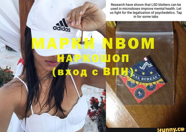 ПСИЛОЦИБИНОВЫЕ ГРИБЫ Осташков