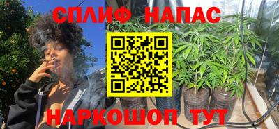 бошки Балашиха