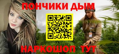 МДПВ Дубна