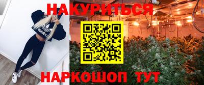 МДПВ Дубна