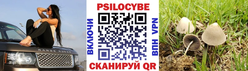 Псилоцибиновые грибы Cubensis  Рузаевка 
