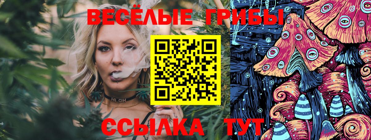 Галлюциногенные грибы ЛСД Рузаевка