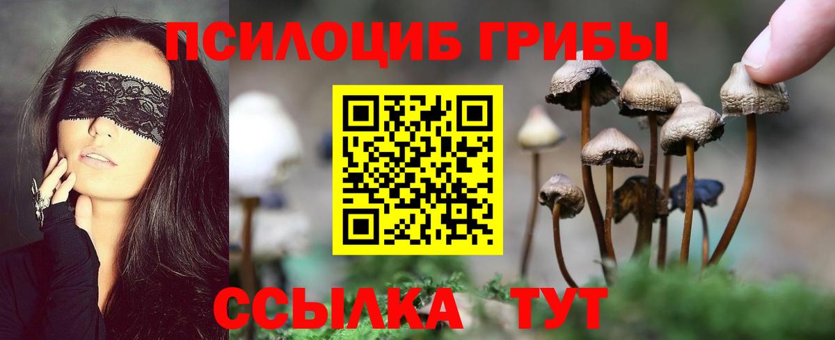 Псилоцибиновые грибы мицелий Рузаевка